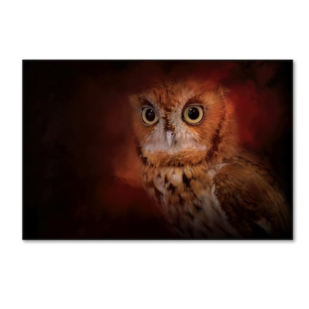 Trademark Fine Art Jai Johnson 'Halloween Owl' Canvas Art, 22x32 ALI14717-C2232GG